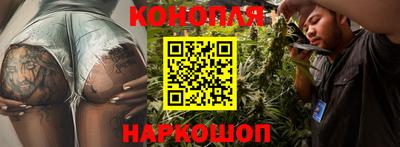 a pvp Донской