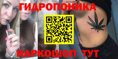 шишки Донецк