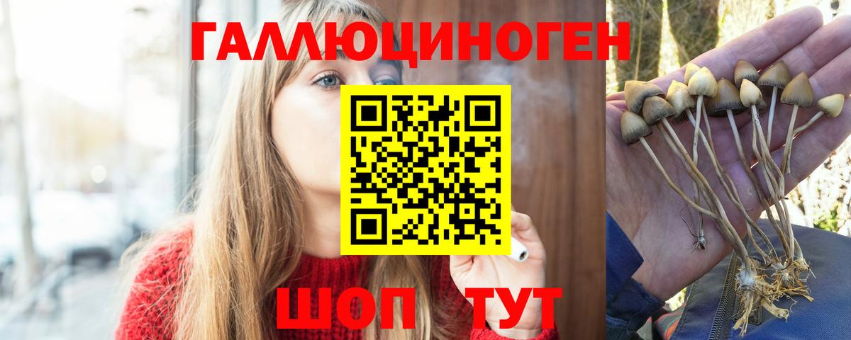 Галлюциногенные грибы Magic Shrooms Миасс